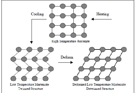 Figure 1: SMA microstructural behaviour. 
