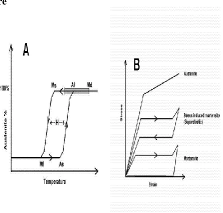 Figure 2: Stress-Strain Memory effects of an SMA  wire 
