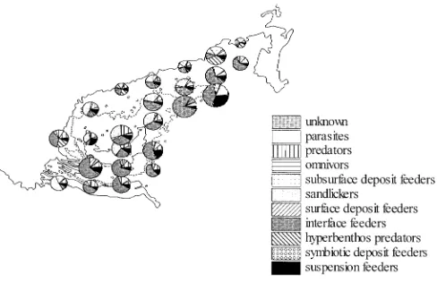 Fig. 4 MDS ordination of the from May 1996 only. Relative depth is superimposed by the the circles√√ transformed abundance datasize of (Stress 0.11)
