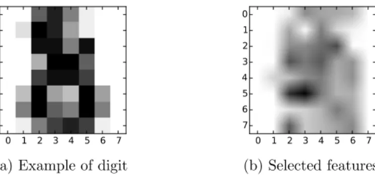 Figure 5: Visualization of the selected features for the digits dataset. (a) Example of input pattern to the network (number 8)