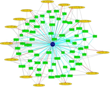 Fig. 4. Interactome of Tp53 [25] 