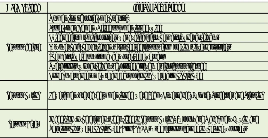 Table 3: Initial Interview Observations 