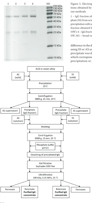 Figure 5. Electrophoretogram of immunoglobulin frac-tions obtained by techniques based on different salting-out methods