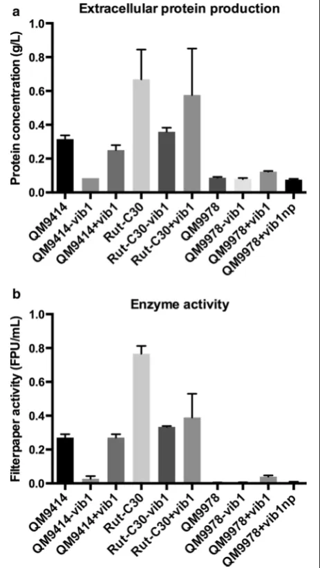 Fig. 5 Comparison of extracellular protein production and cel-lulase activity in vib1 deletion and overexpression strains