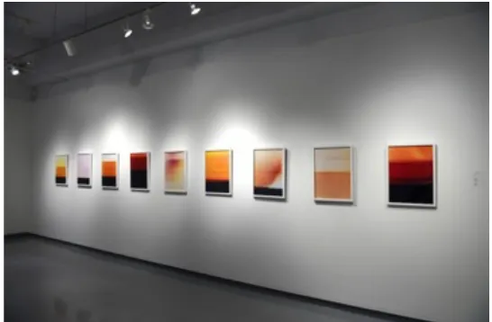 Figure 9. Installation View, Already Gone, 2012. 
