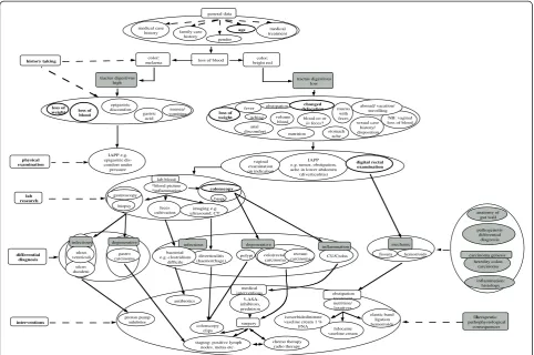 Figure 1 Resident concept map about blood in faeces, constructed by a GP, a surgeon and a pathologist.concepts subsuming several clinical concepts (e.g