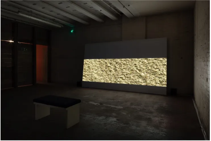Figure 21: Max Hattler, Nidden Partikel, 2012 