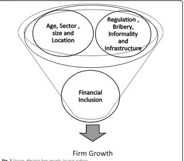 Fig. 1 Factors affecting firm growth. Source: authors