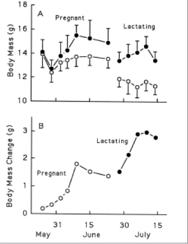 Figure 2: Variation in the quantity of food consumed by female Brazil- Brazil-ian free-tailed bats (Tadarida brasiliensis) during the first feeding period during pregnancy and lactation (from Kunz et al