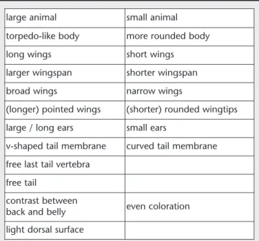 Table 1: Features of flight image (size, shape, and color of body and wings), which, with experience, can be observed and used for identification.