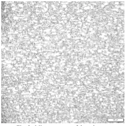 Fig. 3: Microstructure of the substrate  