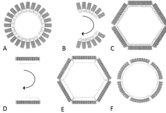 Figure 4: PET scanner detector configurations. (A) Multiple full rings of detector blocks comprised of discrete,  small-area  detector  elements