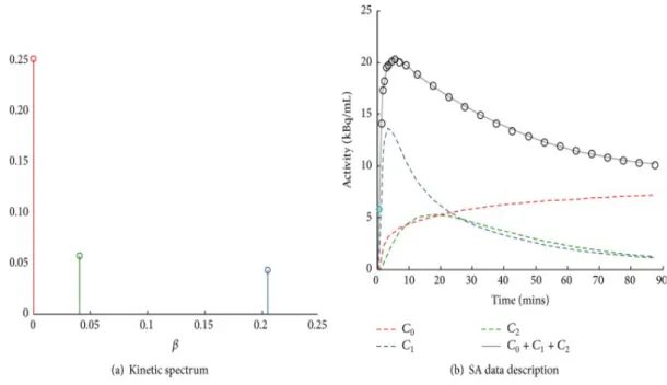 Figure  10:  Example  of  spectral  analysis  quantification. (a)  Representative  kinetic  spectrum:  out of the three  spectral components reported, one corresponds to the tracer trapping (red) while the remaining ones refer to  two equilibrating compone