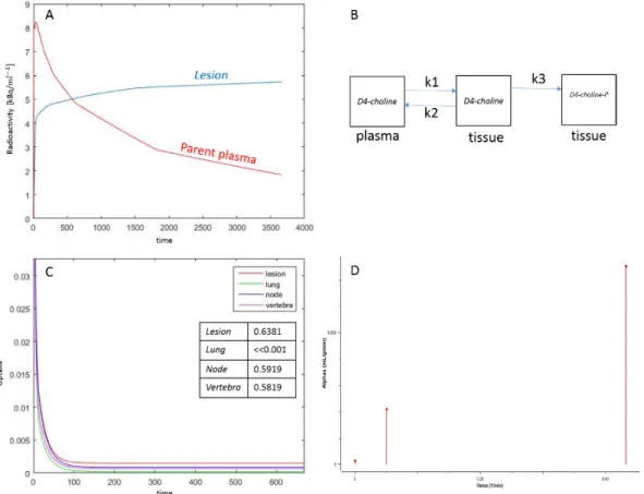Figure 13: Patient n. 2. A, tumour time activity curve with a parent plasma input function (i.e