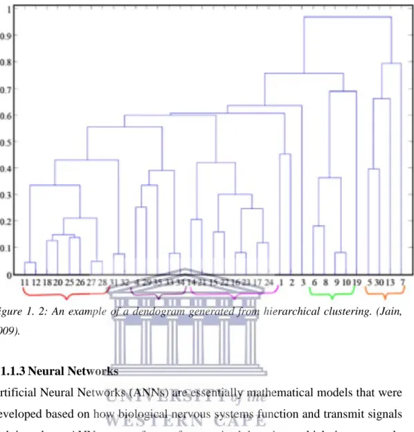 Figure 1. 2: An example of a dendogram generated from hierarchical clustering. (Jain,  2009)