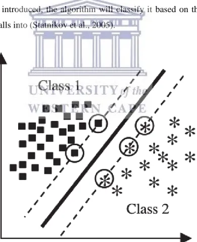 Figure 1. 3: An example of a binary, two-class SVM with hyperplane construction  (Statnikov et al., 2005)