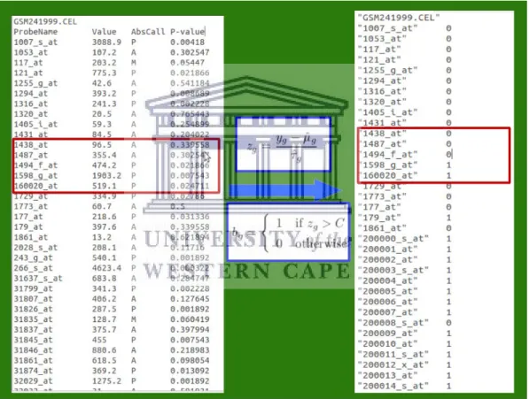 Figure 2.1: Example of expression calls from a micro-array  (left side)  converted to an  absolute call of gene expression (right side) by use of the Gene Expression Barcode  algorithm