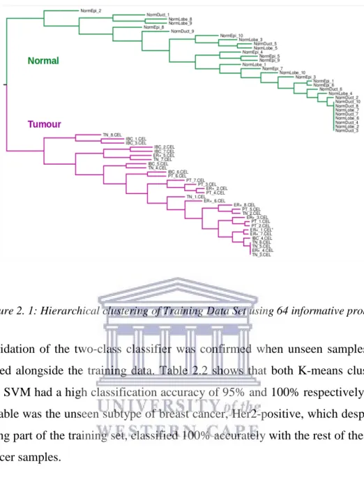 Figure 2. 1: Hierarchical clustering of Training Data Set using 64 informative probe set 