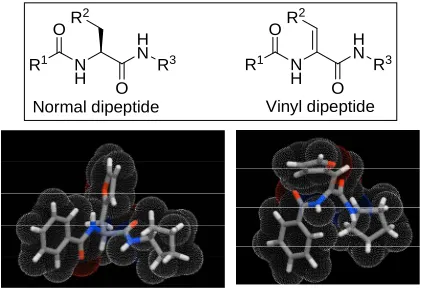 Figure 1. Peptidomimetic vinyl dipeptides. Top left normal dipeptide (left) and three dimensional of a representative example while the vinyl peptide is shown to the right