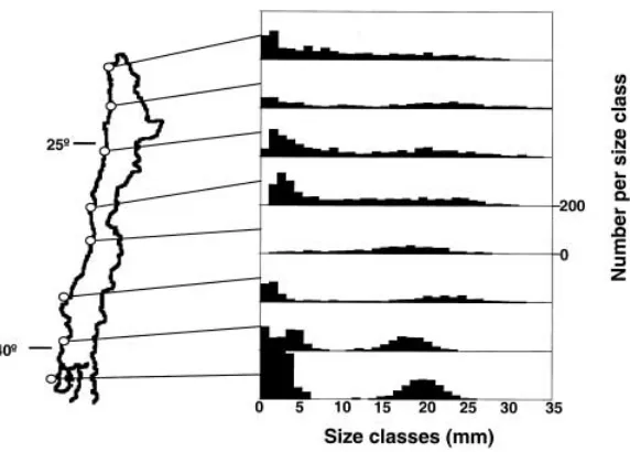 Fig. 1 Size frequency distribu-tion of purple mussels, Peru-mytilus purpuratus, at the eightsampling sites along the Pacificcoast of Chile; at each site sixreplicate samples (each of50 cm2) were taken, all musselsfrom each site were pooled