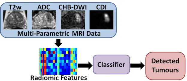 Figure 2.5: Radiomic features extracted from multi-parametric MRI in a general cancer detection framework.