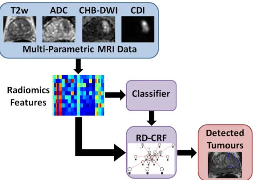 Figure 4.1: The proposed framework for automatic voxel-resolution prostate cancer de- de-tection