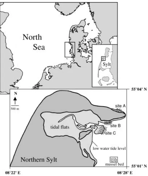 Fig. 1 Investigation area in the Wadden Sea near the island ofSylt, North Sea, Germany