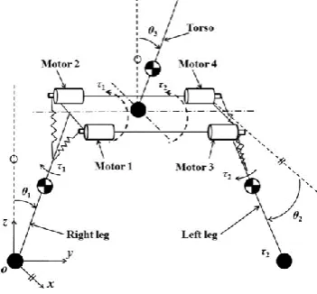 Fig. 1.  The model of the biped walking robot  with  antagonistic actuation 