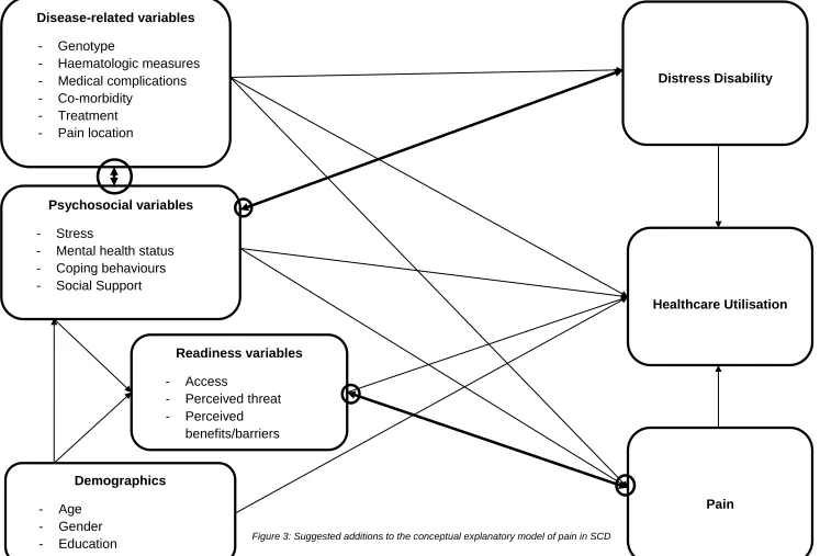 Figure 3: Suggested additions to the conceptual explanatory model of pain in SCD 