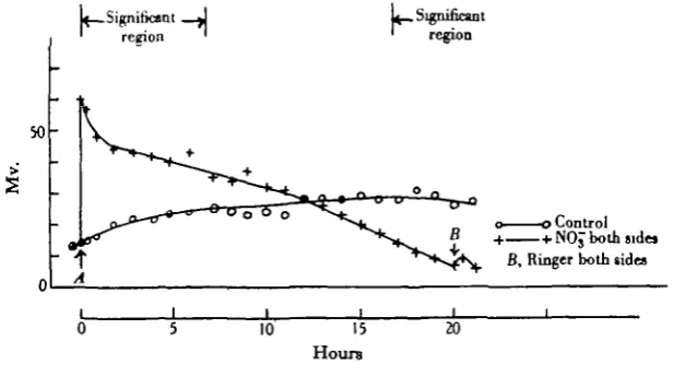 Fig. 2. Effect of NO a- Ringer on both sides.