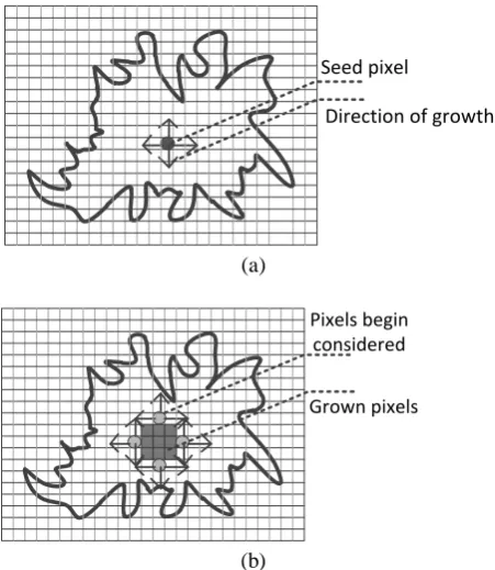 Fig. 3.  The example of region growing.  