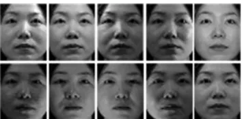 Fig. 4   Sample images for a subject of the Asian Face Database with frontal images but various illumination conditions (from bright to dark) 