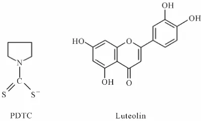 Figure 1. Structures of PDTC and luteolin. 