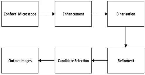 Fig. 8.  The original (a) and preprocessed (b) images presented in [6]. 