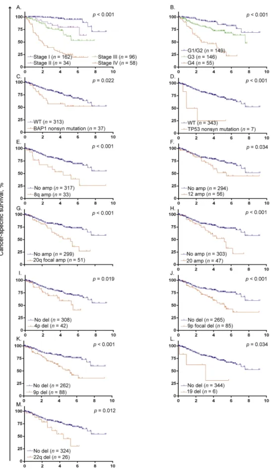 Fig. 1 – Kaplan-Meier survival estimates for cancer-specific survival for clinical and genetic markers: (A) tumour stage; (B) Fuhrman grade; (C) BAP1 nonsynonymous (nonsyn) mutation status; (D) TP53 nonsyn mutation status; (E) chromosome (Chrom) 8q amplifi