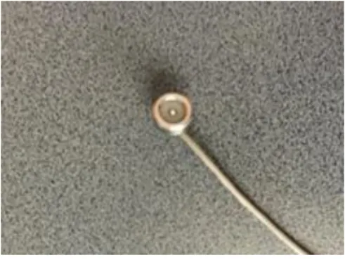 Figure 1: Planar concentric electrode (Bionen, Florence, Italy). 