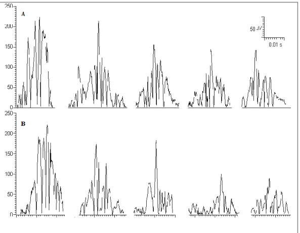 Figure  3.  The  sequence  of  the  twenty-five  nociceptive  blink  reflex  R2 consecutive responses at 0.3 Hz SF, grouped into five blocks of  five  averaged  and  rectified  responses  each  in  a  representative  migraine with aura (A) and healthy(B) s