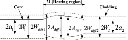 Fig. 1.  Schematic illustration of thermal diffusion expanded core area of  fusion splicing between two fibers