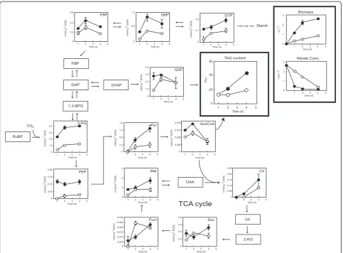 Figure 7 Time-course analysis of metabolite content of Chlamydomonas sp. JSC4 cells illuminated with high light intensity(300 μmol m−2 s−1; closed circles) or low light intensity (30 μmol m−2 s−1; open circles)