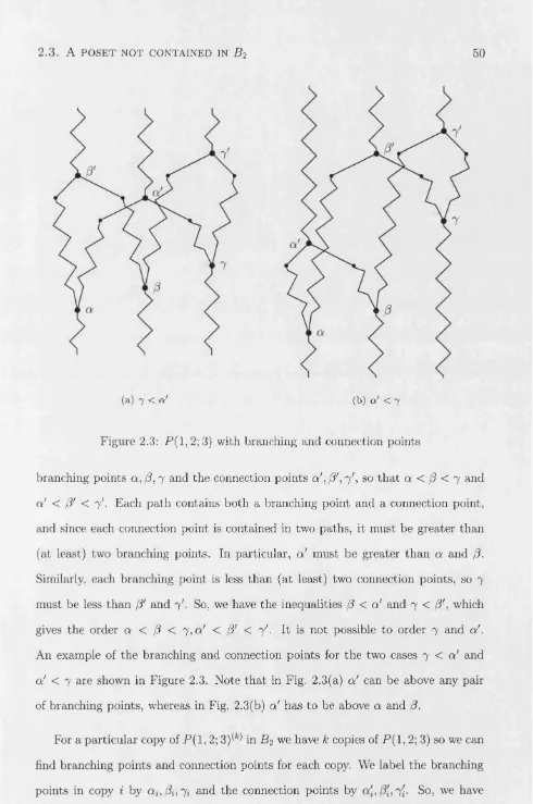 Figure 2.3: P(l,2;3) with branching and connection points