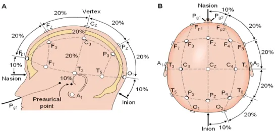 Figure 1.1 Scalp EEG electrode placement according to the 10-10 international electrode  placement system [19] 