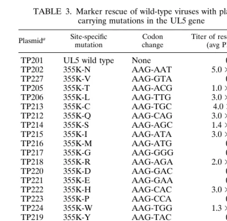 FIG. 5. Computer-generated photograph of an autoradiographic image of aSouthern blot analysis of the structures of HSV-2(G), rHSV-2LUC, resistant