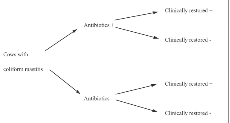 Table 1. A Latin square design for Example 1:Healing of wounds in horses. Horses are allocatedinto 4 treatment groups (A, B, C, D) that are combi-nations of 2 different antibiotics and 2 types of ban-dage