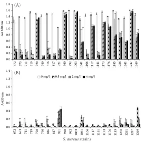 Figure 1A. The ability of S. aureus plankto-nic cells to grow in ampicillin presence for 24 hoursOD 620 nm correspond to cell density