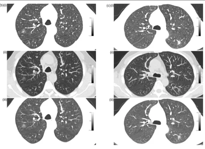 Figure 1 Continued.