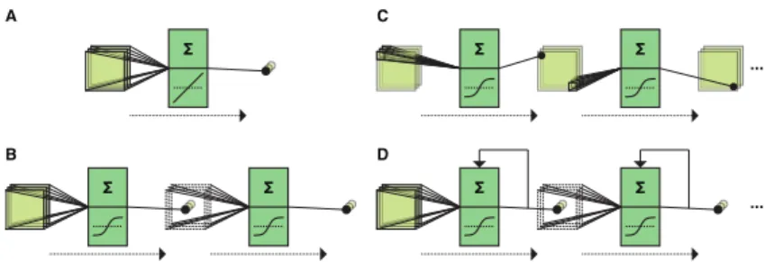 Figure 1.1: Artificial neural network architectures. A: Linear neural net- net-work (multiple linear regression)
