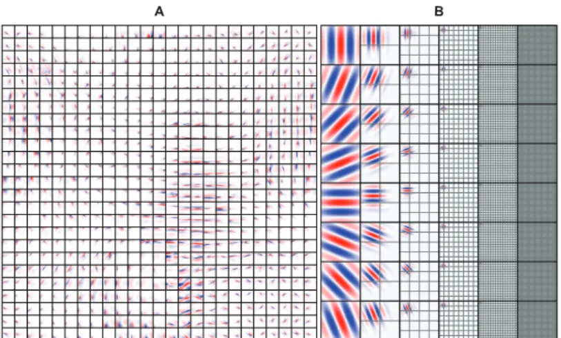 Figure 2.2: Simple cell receptive fields. A: Simple cell receptive fields of the SC model