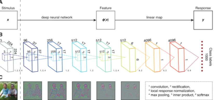 Figure 3.1: DNN-based encoding framework. A: Schematic of the en- en-coding model that transforms a visual stimulus to a voxel response in two stages