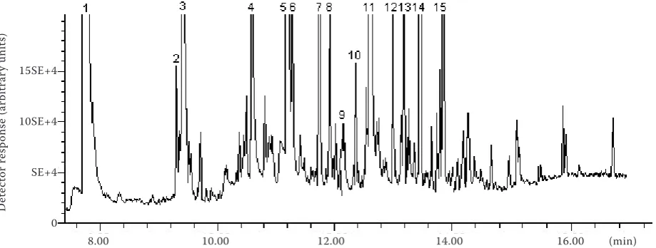 Figure 1. Chromatogram of volatile compounds in beer obtained using SHS: (1) 1-butanol, 3-methyl-, acetate; (2) nonanal; (3) phenylethyl alcohol; (4) octanoic acid, ethyl ester; (5) decanal; (6) decanoic acid, ethyl ester; (7) dodeca-nal; (8) 2-propenamide, 2-methyl-N-phenyl-; (9) dodecanoic acid, ethyl ester; (10) octadecanal; (11) cyclododecane; (12) dibutyl phthalate; (13) nonadecane