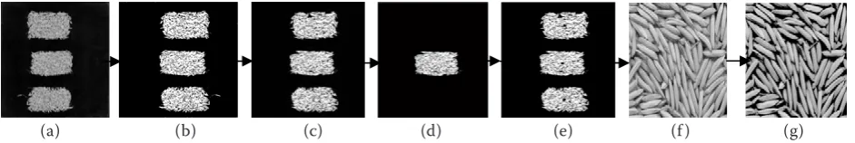 Figure 3. Preprocessing implementation process: (a) RGB image, (b) binary image, (c) noise reduction, (d) object  separation,(e) centroid detection, (f) RGB image crop, and (g) background deletion